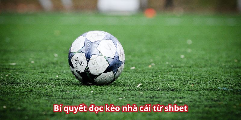 Hướng dẫn cách đọc cực chuẩn cho tân thủ