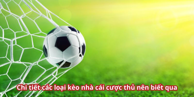 Chi tiết các loại kèo cho anh em tham khảo